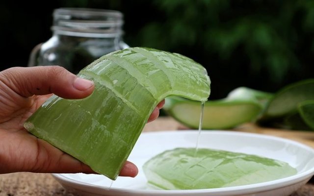 Discover the benefits and learn how to use aloe vera on your face